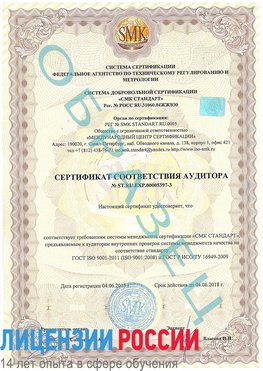 Образец сертификата соответствия аудитора №ST.RU.EXP.00005397-3 Нефтегорск Сертификат ISO/TS 16949